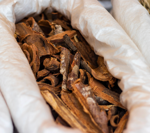 MAGNOLIA BARK